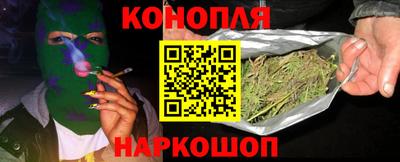 индика Будённовск