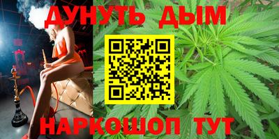 индика Будённовск