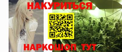 индика Будённовск