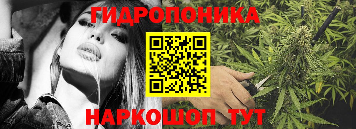 Каннабис ГИДРОПОН  Бошки Шишки план  Марихуана LSD WEED  Вход с VPN  Благовещенск 